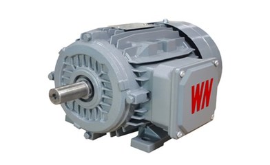 皖南電機YX3系列產(chǎn)品順利通過省級專項監(jiān)督抽查