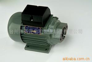 臺州市天元電機泵業(yè)制造 專業(yè)電動機制造商